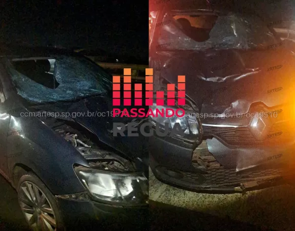 Pedestre morre após atropelamento na Rodovia Raposo Tavares em Paranapanema