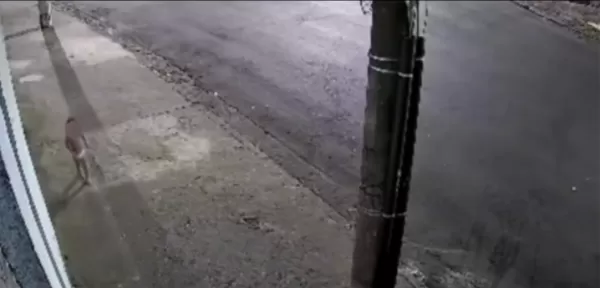 Mulher é presa por abandonar filha de 3 anos para ir a baile funk no ABC Paulista