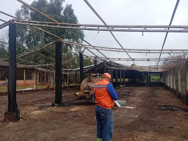 Incêndio em granja de Avaré mata mais de 17 mil pintinhos e destrói 70% da estrutura