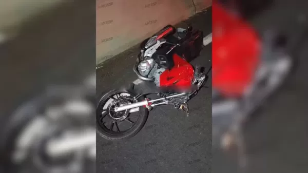 Motociclista morre após atropelar cavalo na SP-294 em Bauru