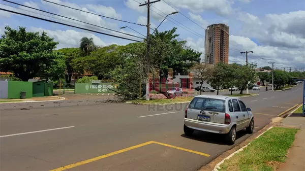 Rajadas de vento derrubam árvores em Ourinhos; motociclista é atingido