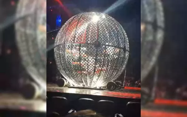 Acidente no "globo da morte" é registrado durante apresentação em circo de Bauru; vídeo