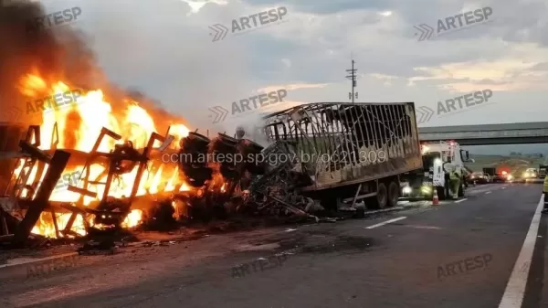 Motorista morre após bater caminhão em carreta e um dos veículos pegar fogo em Guarantã (SP)