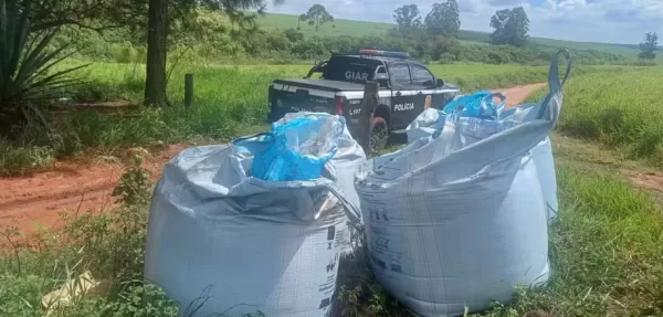 Policiais se passam por compradores e apreendem 4 toneladas de adubo ofertadas em grupo de mensagens