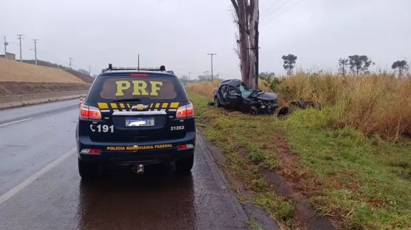 Casal perde a vida após colisão com árvore na BR-369