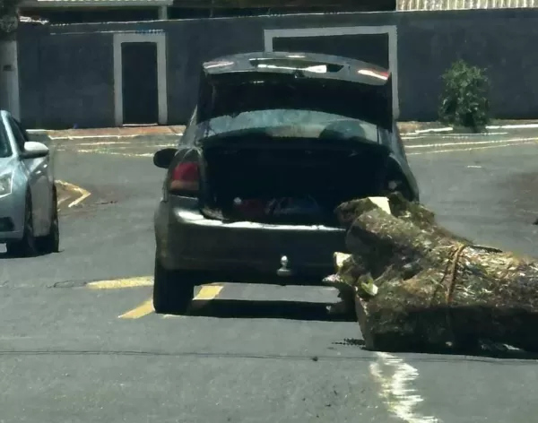 Carro é flagrado arrastando tora de madeira e causando danos em ruas da Boa Esperança, em Ourinhos