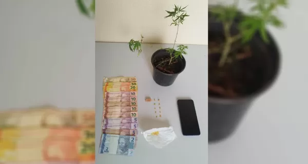 Jovem de 19 anos é preso por tráfico de drogas e pé de maconha é encontrado em casa, no Parque Minas Gerais, em Ourinhos