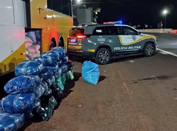 Operação Impacto apreende 211 kg de folha de coca em ônibus de turismo em Santa Cruz do Rio Pardo 