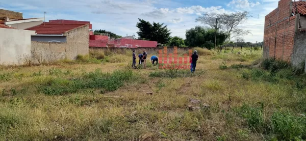 Corpo é encontrado em terreno baldio próximo a casa noturna em Ourinhos; tudo indica que seja de jovem desaparecido após evento