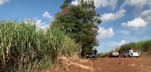 Corpos de dois jovens desaparecidos são encontrados às margens da PR-092 em Santo Antônio da Platina