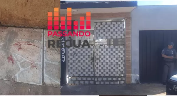 Homem é preso após matar dois filhotes de gato e recebe multa de R$ 12 mil em Ourinhos