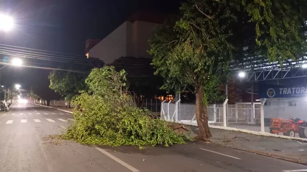 Rajadas de vento de mais de 90 km/h causam quedas de árvores e falta de energia em Ourinhos; galho caiu em carro 