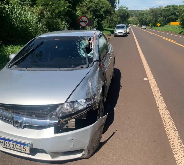 Motociclista morre após colisão com carro na Rodovia SP-421, em Paraguaçu Paulista