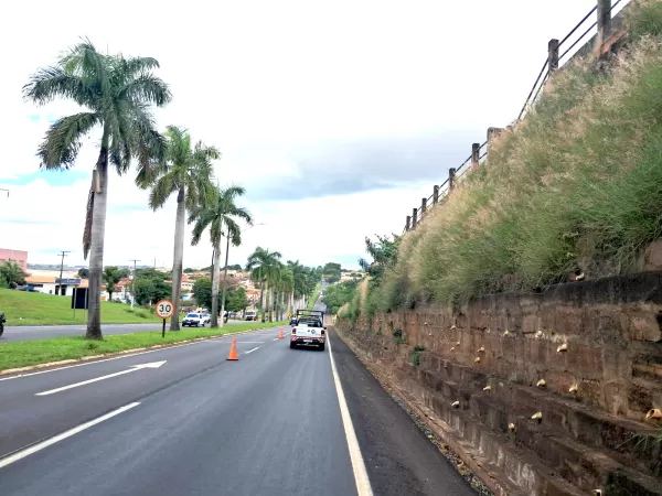 Em 4 meses, Via Raposo recupera 72km de pavimento e elimina 109km de degraus nos acostamentos