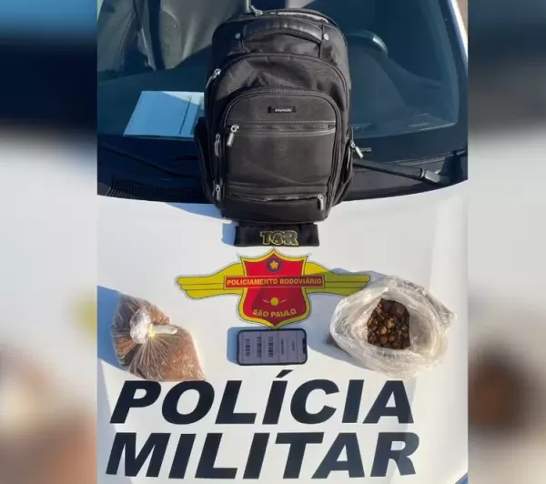 Polícia Rodoviária apreende com chinês R$ 800 mil em "fel bovino" na Rodovia Castello Branco, em Iaras 