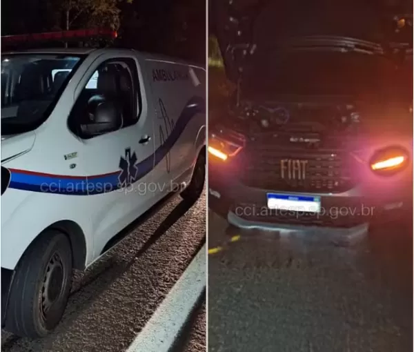 Porco solto na pista provoca acidente envolvendo ambulância e utilitário em Piratininga