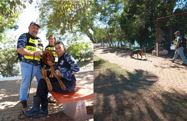 Adestrador de Ourinhos mostra como o cão Zeus atua em buscas por desaparecidos e fala sobre o trabalho do projeto Canil Gaiola Aberta