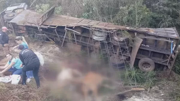 Caminhão na contramão provoca capotamento de carreta e morte de seis animais em rodovia do Paraná, diz polícia