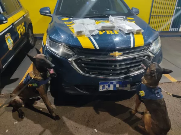 Mulher é presa transportando haxixe em ônibus na BR-153 em Ourinhos