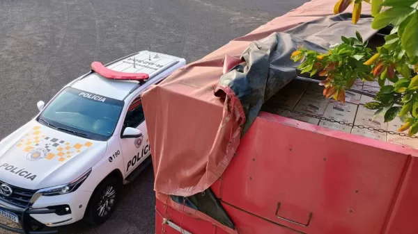 Polícia Militar Rodoviária apreende caminhão com 375 mil maços de cigarros contrabandeados na Raposo Tavares
