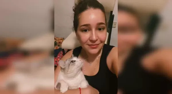 Após vídeo de chute em gata viralizar, médica encontra e adota animal em Piraju; vídeo