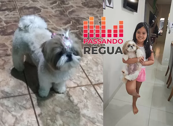 Cachorrinha desaparecida em Ourinhos é encontrada e caso é esclarecido como mal-entendido