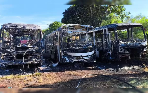 Polícia Civil investiga incêndio que destruiu três ônibus da Viação Jauense em Jaú (SP)