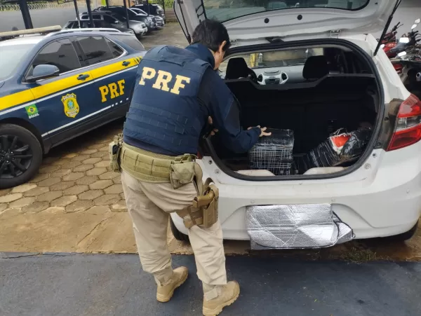PRF apreende 96 quilos de maconha e recupera veículo roubado em Andirá