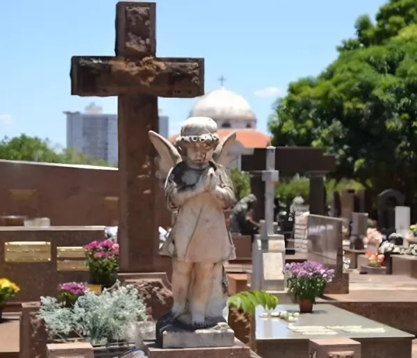 João Neto: Tempos Dourados