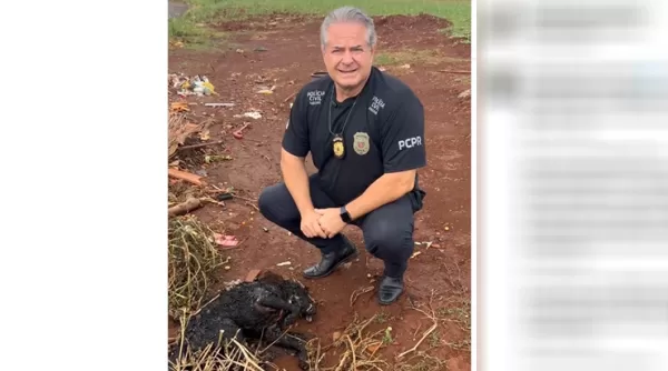 Homem é preso em Cambará (PR) por matar e queimar o próprio cachorro; polícia classifica crime como ato de extrema crueldade