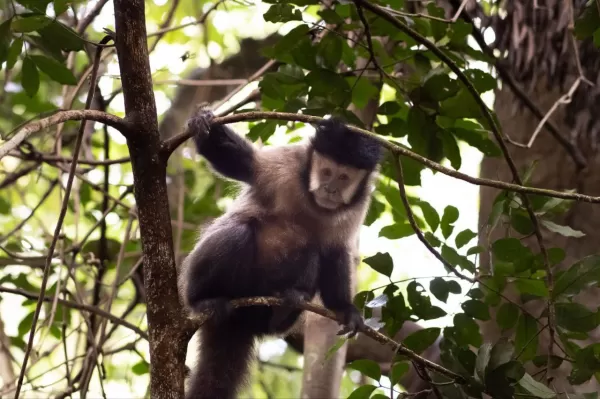 Ourinhos alcança sua maior nota no Programa Município Verde Azul em 2025