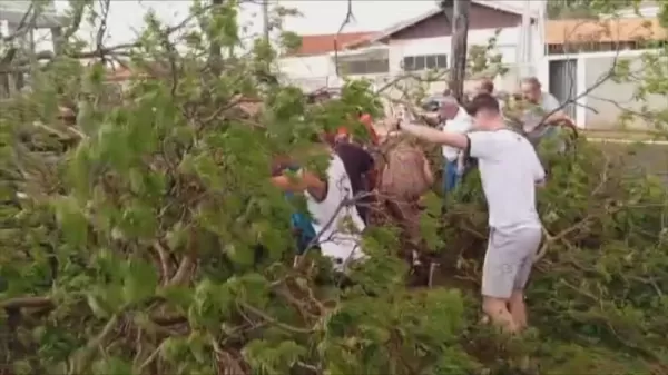 Moradores salvam adolescentes atingidas por árvore durante temporal em Bariri