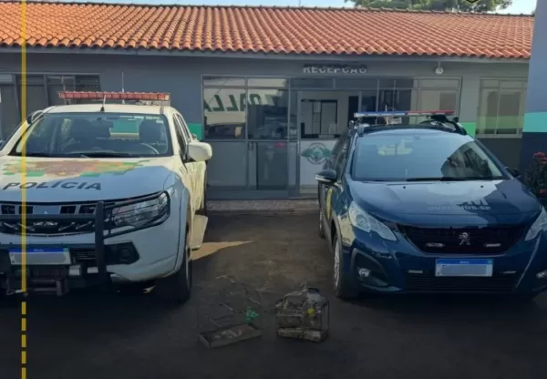 Pássaros silvestres são apreendidos e soltos na natureza em Ourinhos