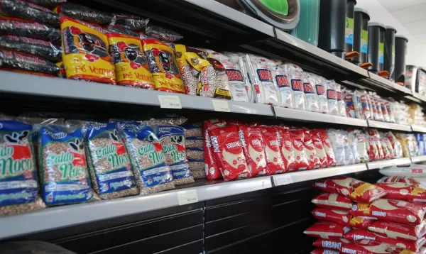 Cesta básica nacional terá só 15 alimentos com imposto zerado