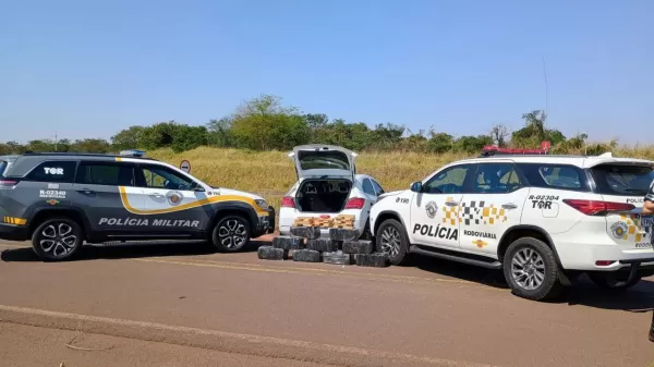 Polícia Rodoviária apreende 178 kg de maconha em Paraguaçu Paulista durante Operação Impacto