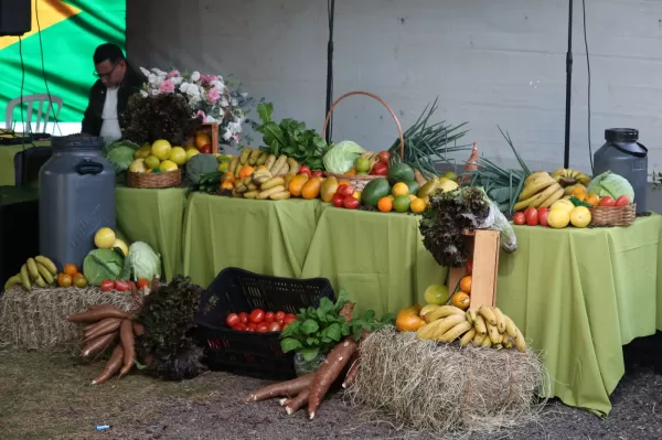 Ribeirão do Sul celebra o Dia do Agricultor com evento especial