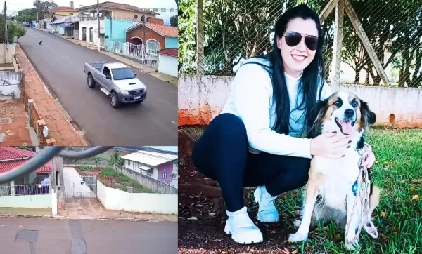 Vídeo mostra caminhonete atropelando cadela na região; condutor não foi localizado 
