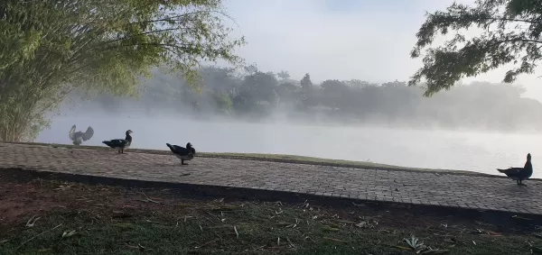Brasil se prepara para queda brusca de temperaturas com avanço de frente fria; em Ourinhos temperatura diminui na próxima semana