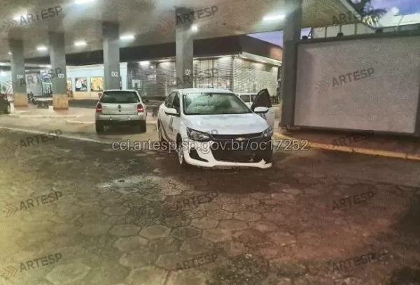 Carro oficial atropela capivara na SP-225 em Santa Cruz do Rio Pardo