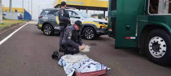 Boliviana é presa com 30 pacotes de skunk em ônibus abordado na SP-333, em Marília