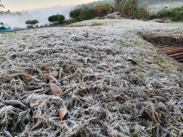 Com 6° C, Ourinhos registra menor temperatura do ano na manhã desta quarta-feira
