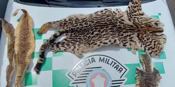 Homem é multado em Palmital por manter peixes nativos e peles de animais silvestres em sítio