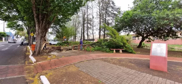 Ventania provoca estragos e falta de energia em Ourinhos