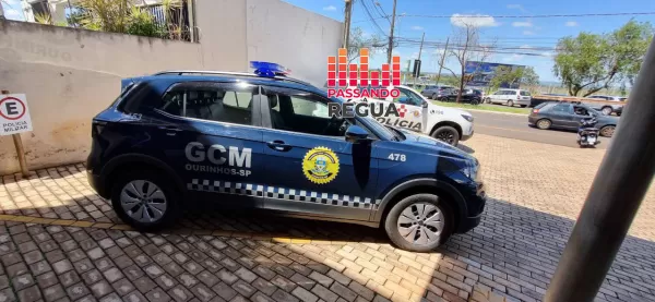 GCM resgata cães abandonados e filhote em estado grave de desidratação em Ourinhos