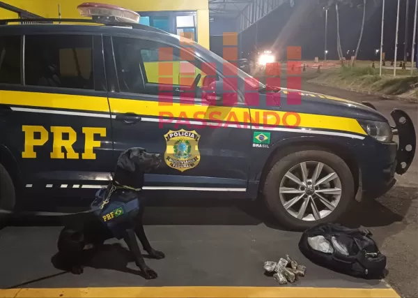 PRF apreende 10 tabletes de haxixe em ônibus na BR-153 em Ourinhos
