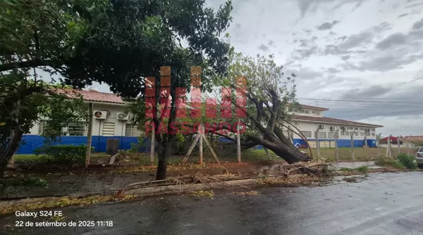 Tempestade derruba árvore na UBS da Cohab em Ourinhos