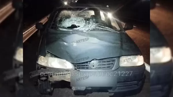 Pedestre morre após ser atropelado na SP-294 em Vera Cruz