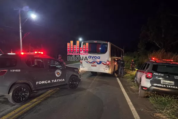 Força Tática intercepta ônibus e prende procurado por violência doméstica em Canitar