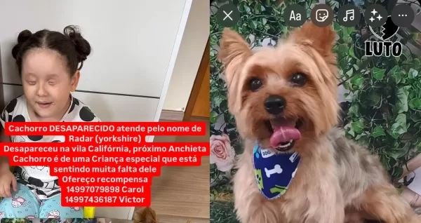 Cão de menina com deficiência visual é encontrado morto em Ourinhos