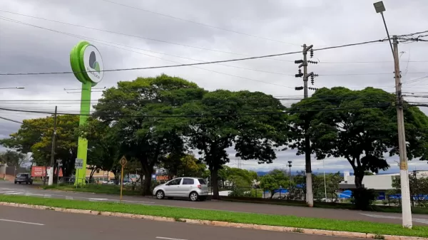 Mulher registra furto após compras no iFood em Ourinhos não serem entregues